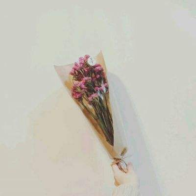 玛雅文明手游下载
